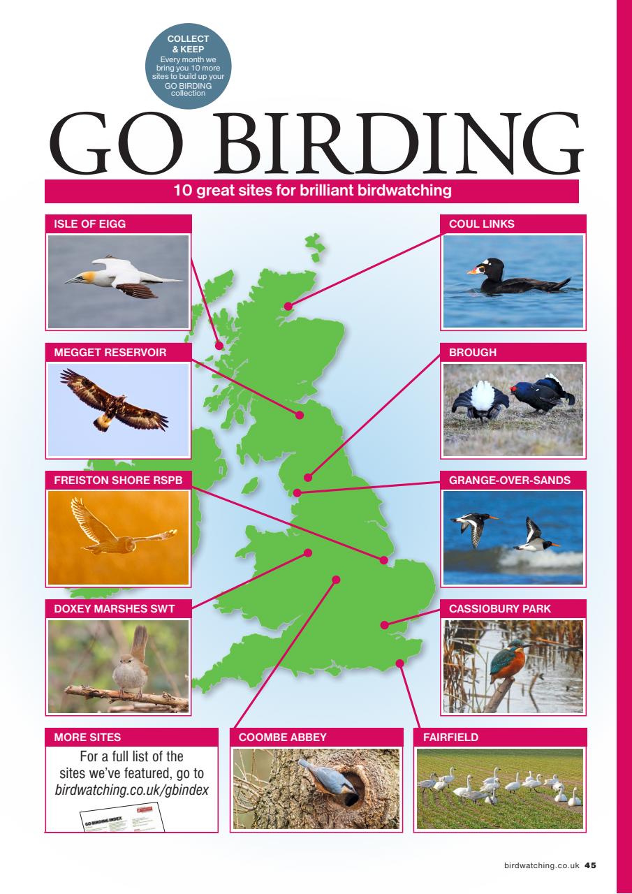 Bird Watching Preview Pages