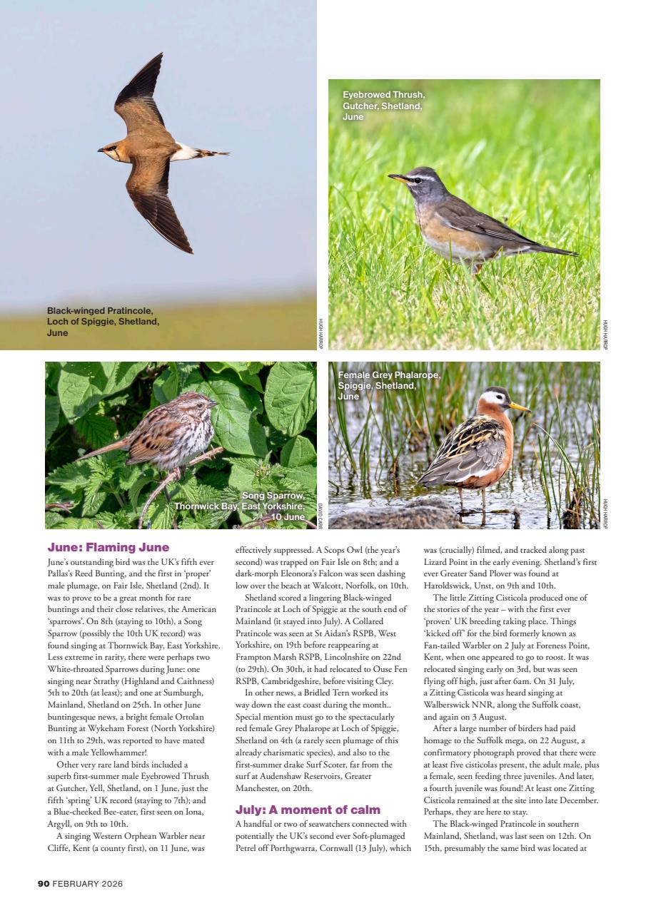 Bird Watching Preview Pages