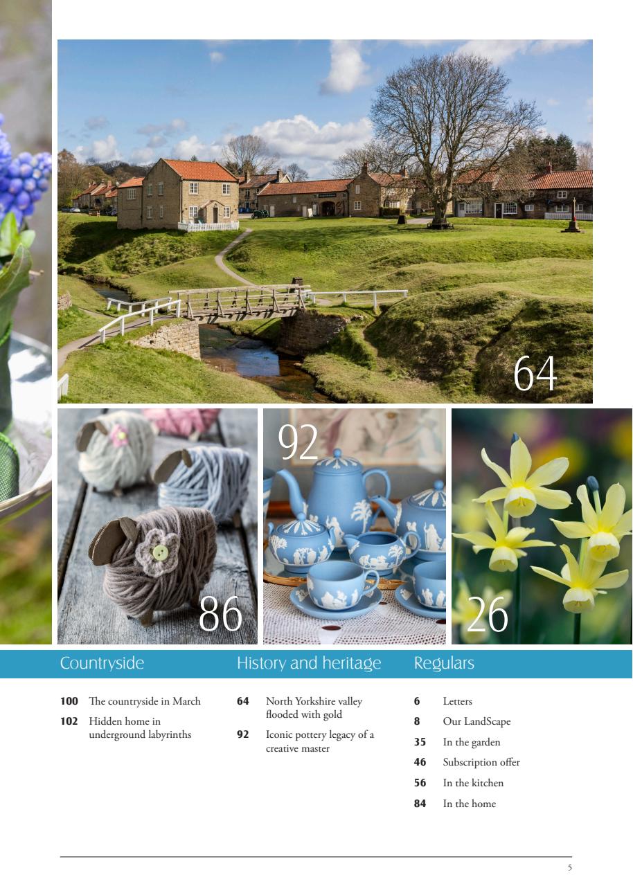 LandScape Preview Pages