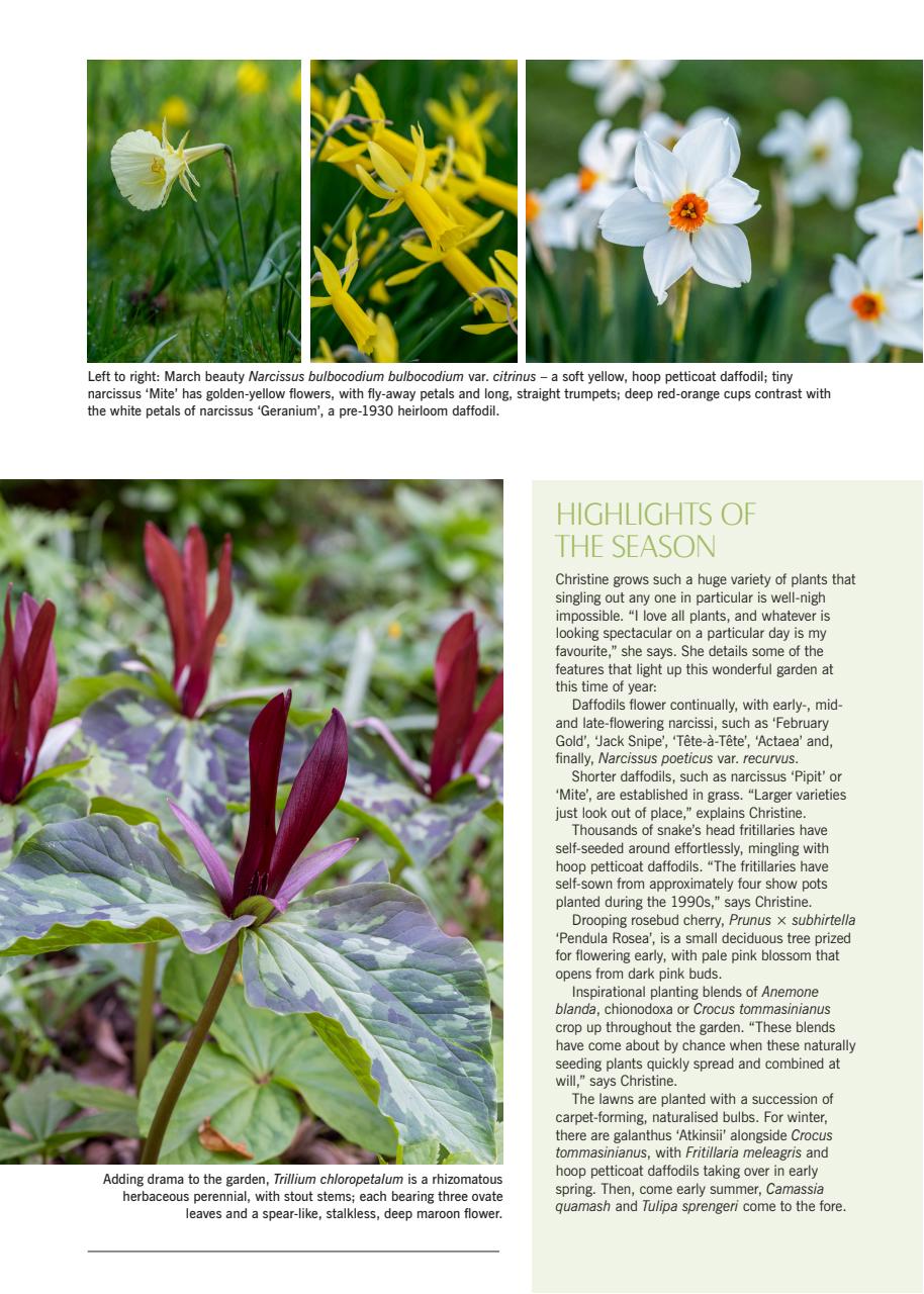 LandScape Preview Pages