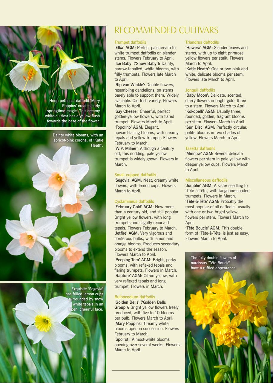 LandScape Preview Pages