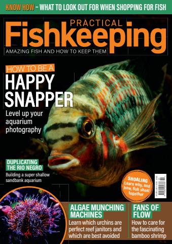 Practical Fishkeeping issue February 2026