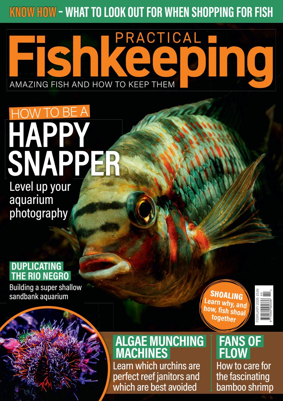 Practical Fishkeeping Preview Pages