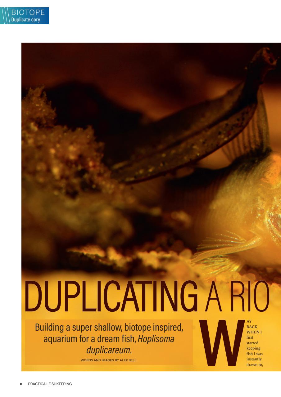 Practical Fishkeeping Preview Pages