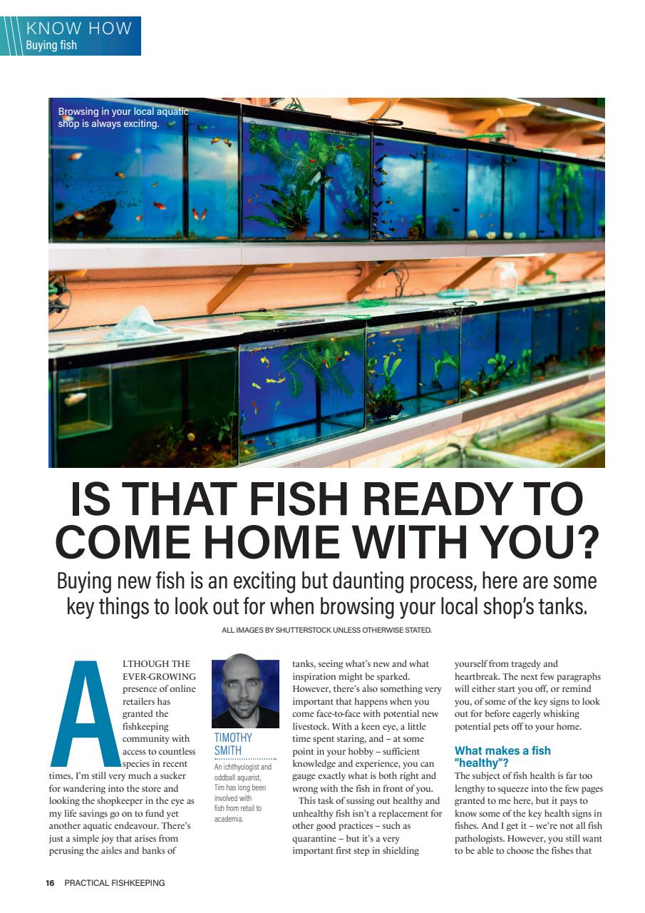 Practical Fishkeeping Preview Pages