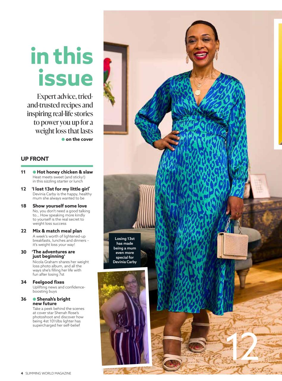 Slimming World Preview Pages