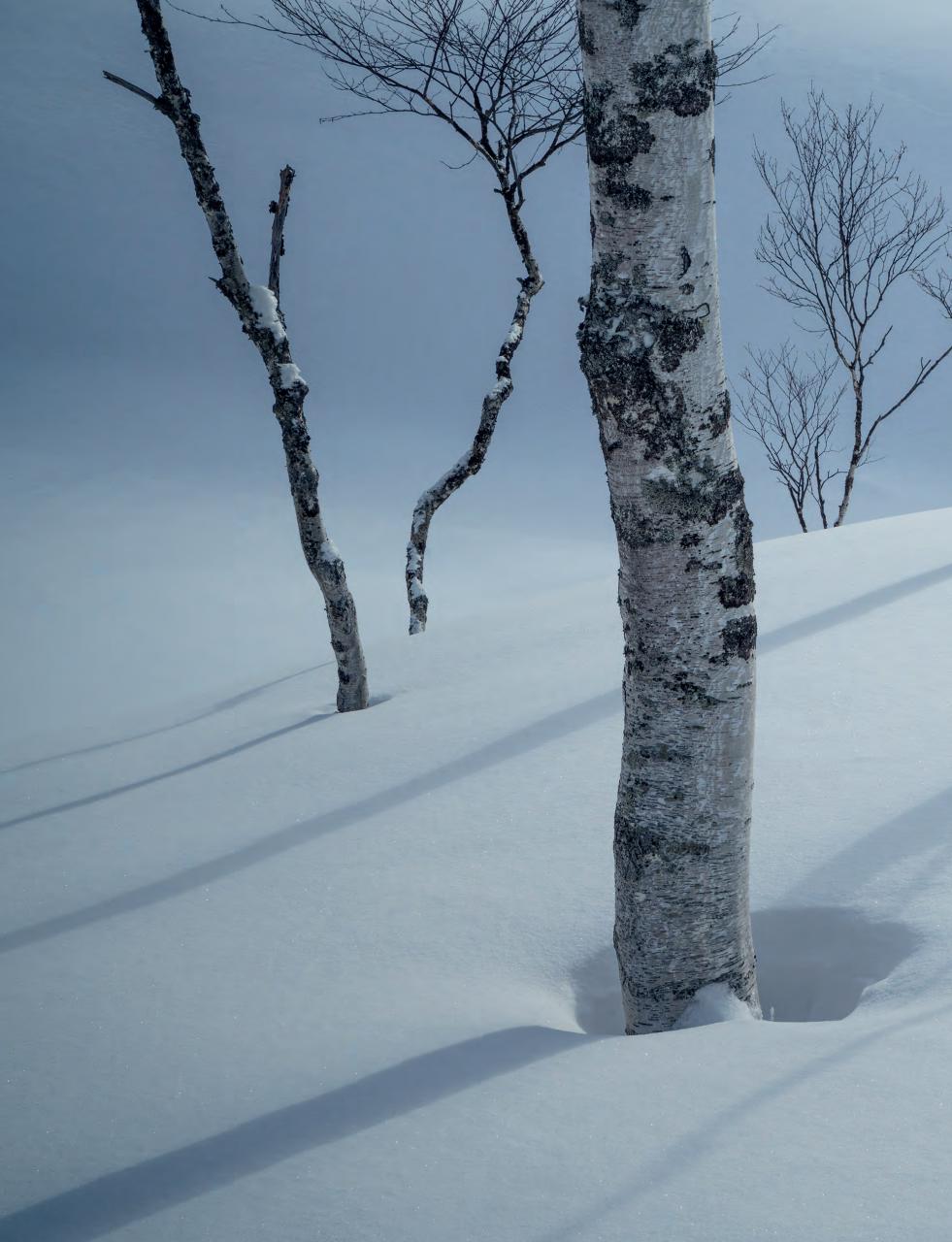 Outdoor Photography Preview Pages