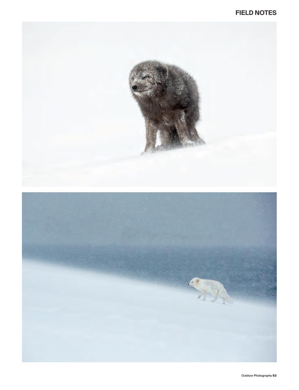 Outdoor Photography Preview Pages