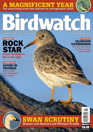 Birdwatch Magazine issue 