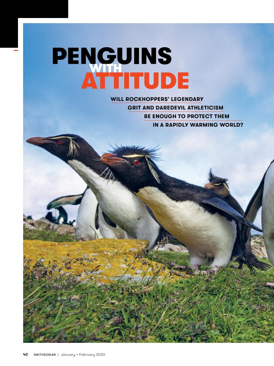 Smithsonian Magazine Preview Pages