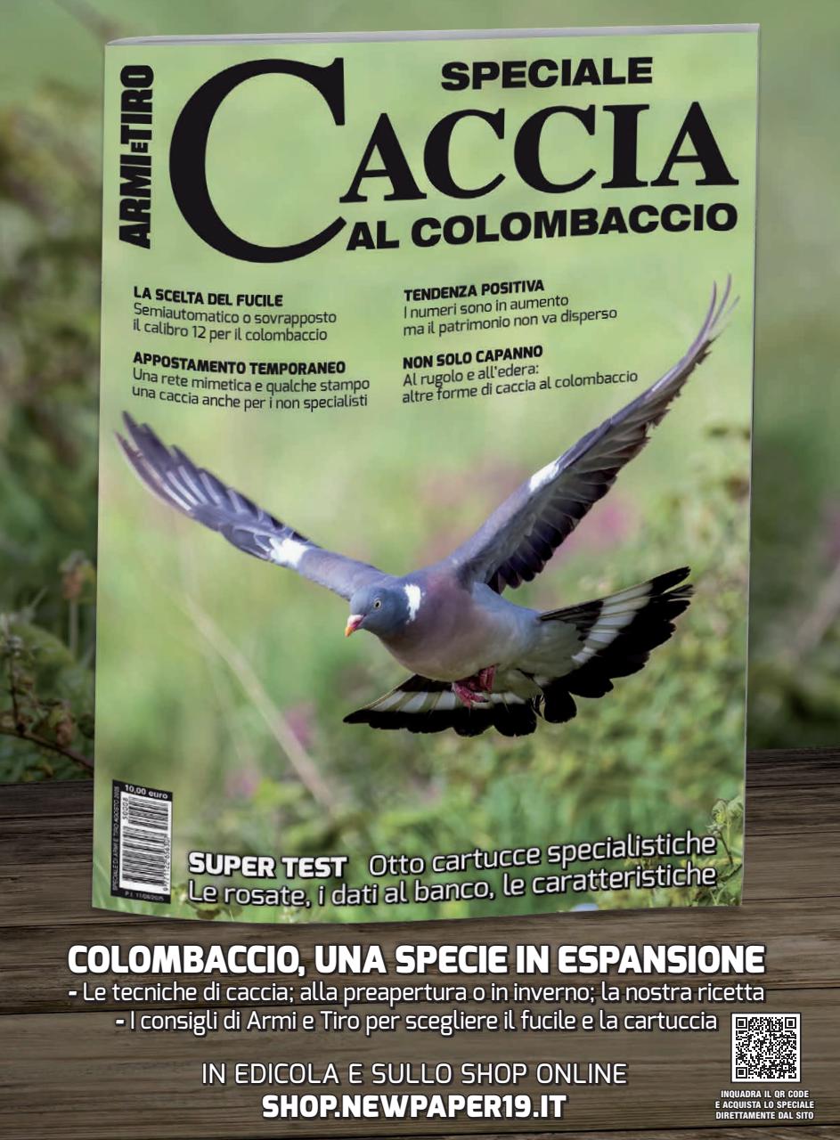 ARMI SHOP Preview Pages