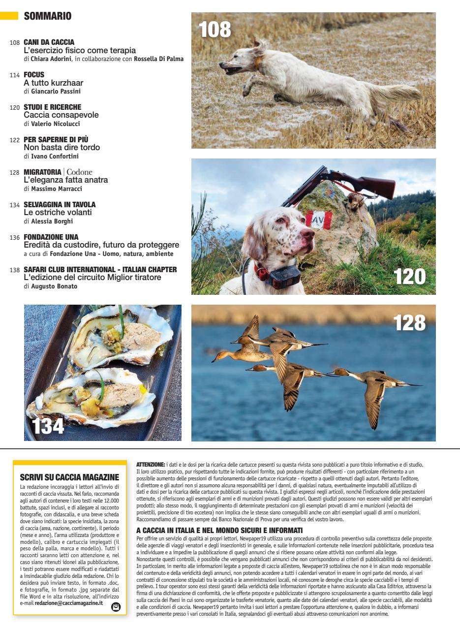 Caccia Magazine Preview Pages