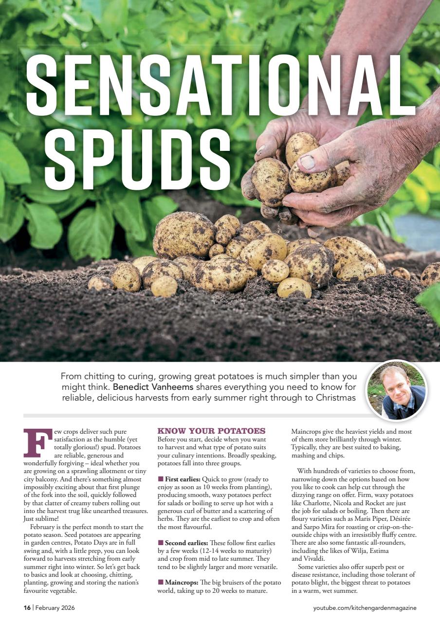 Kitchen Garden Magazine Preview Pages