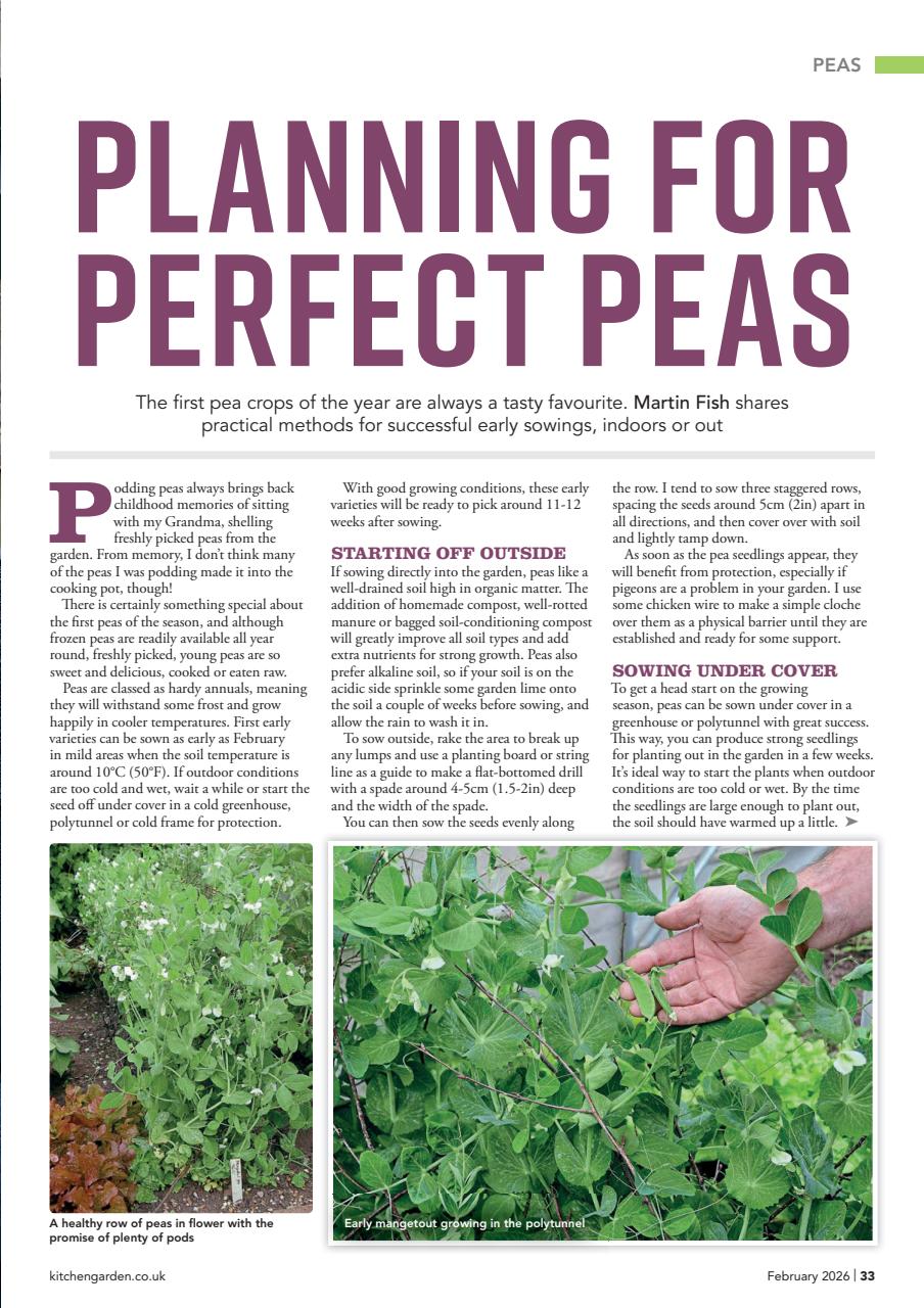 Kitchen Garden Magazine Preview Pages