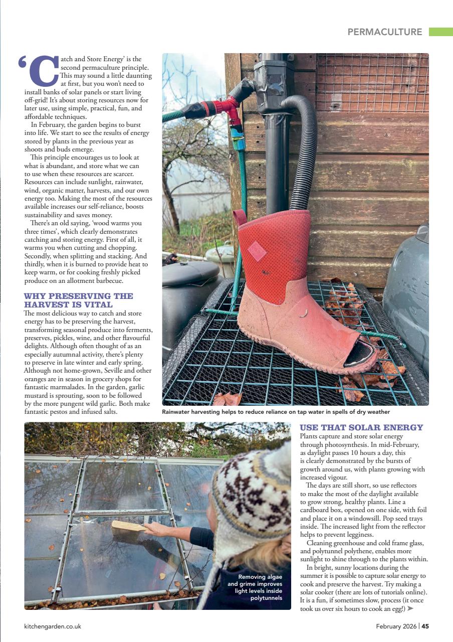 Kitchen Garden Magazine Preview Pages
