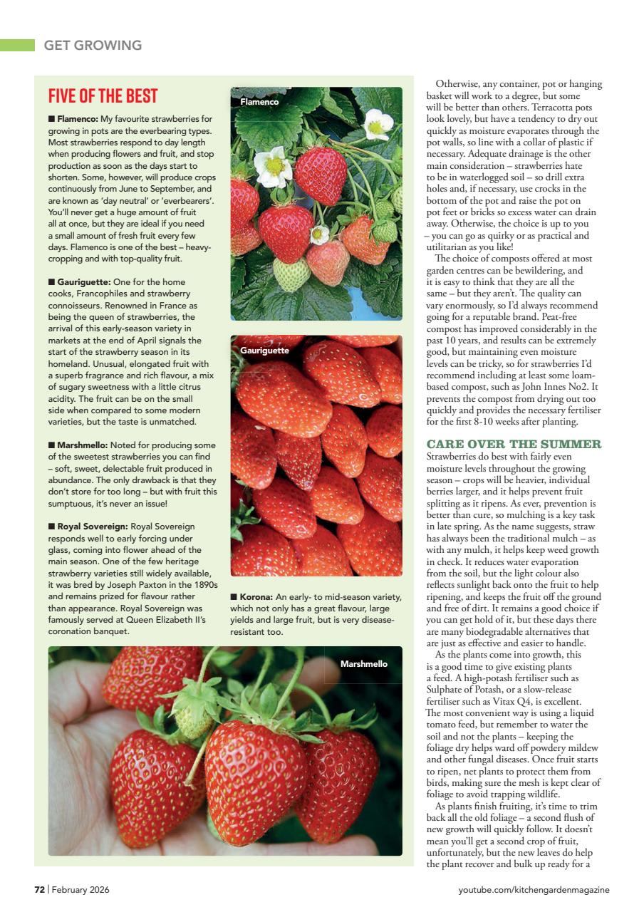 Kitchen Garden Magazine Preview Pages