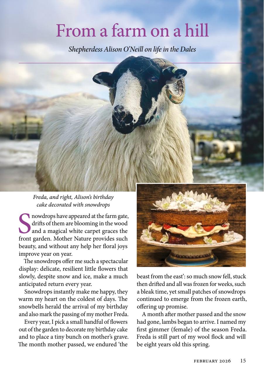 The Yorkshire Dalesman Preview Pages