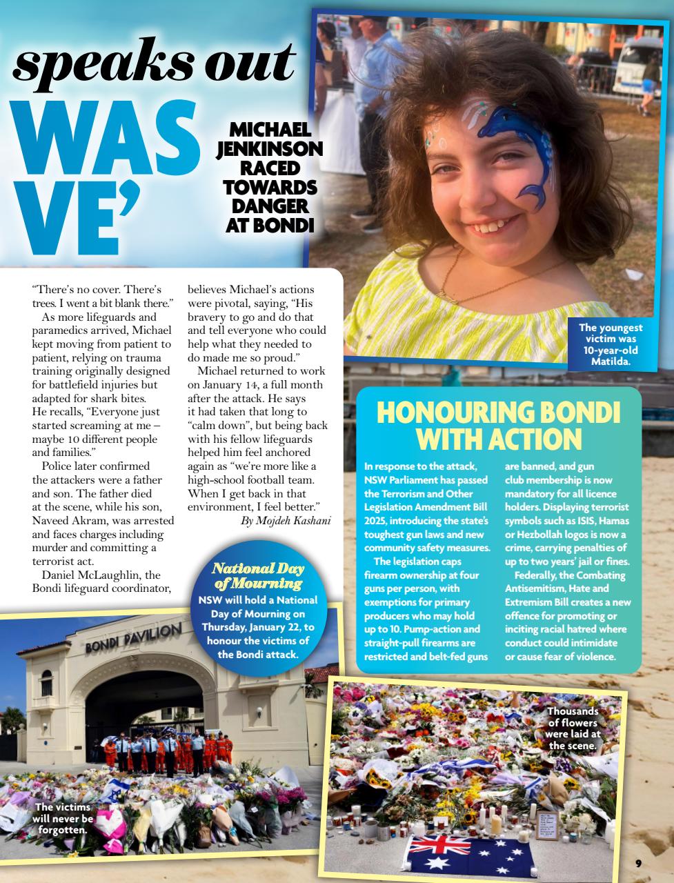 New Idea Preview Pages