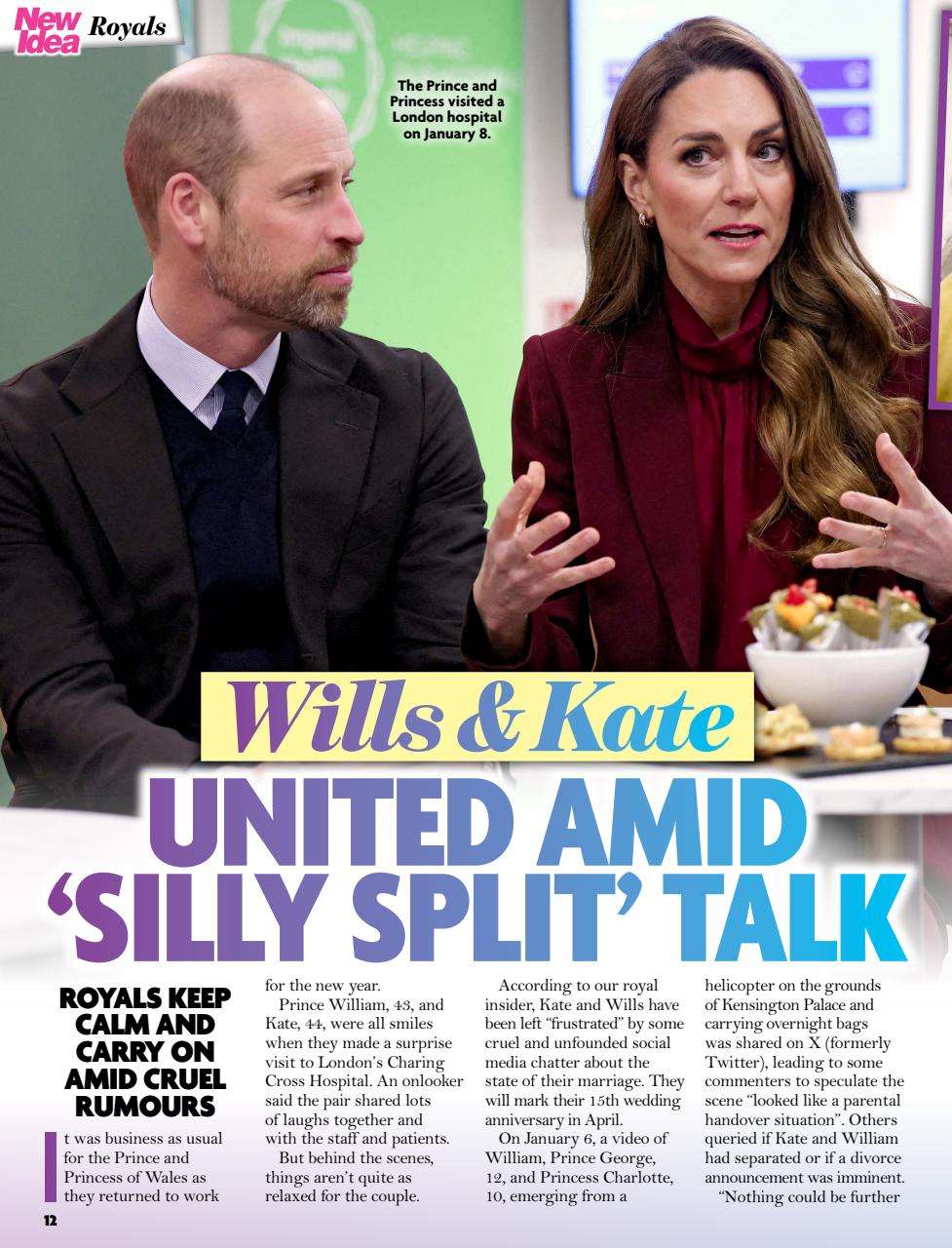 New Idea Preview Pages