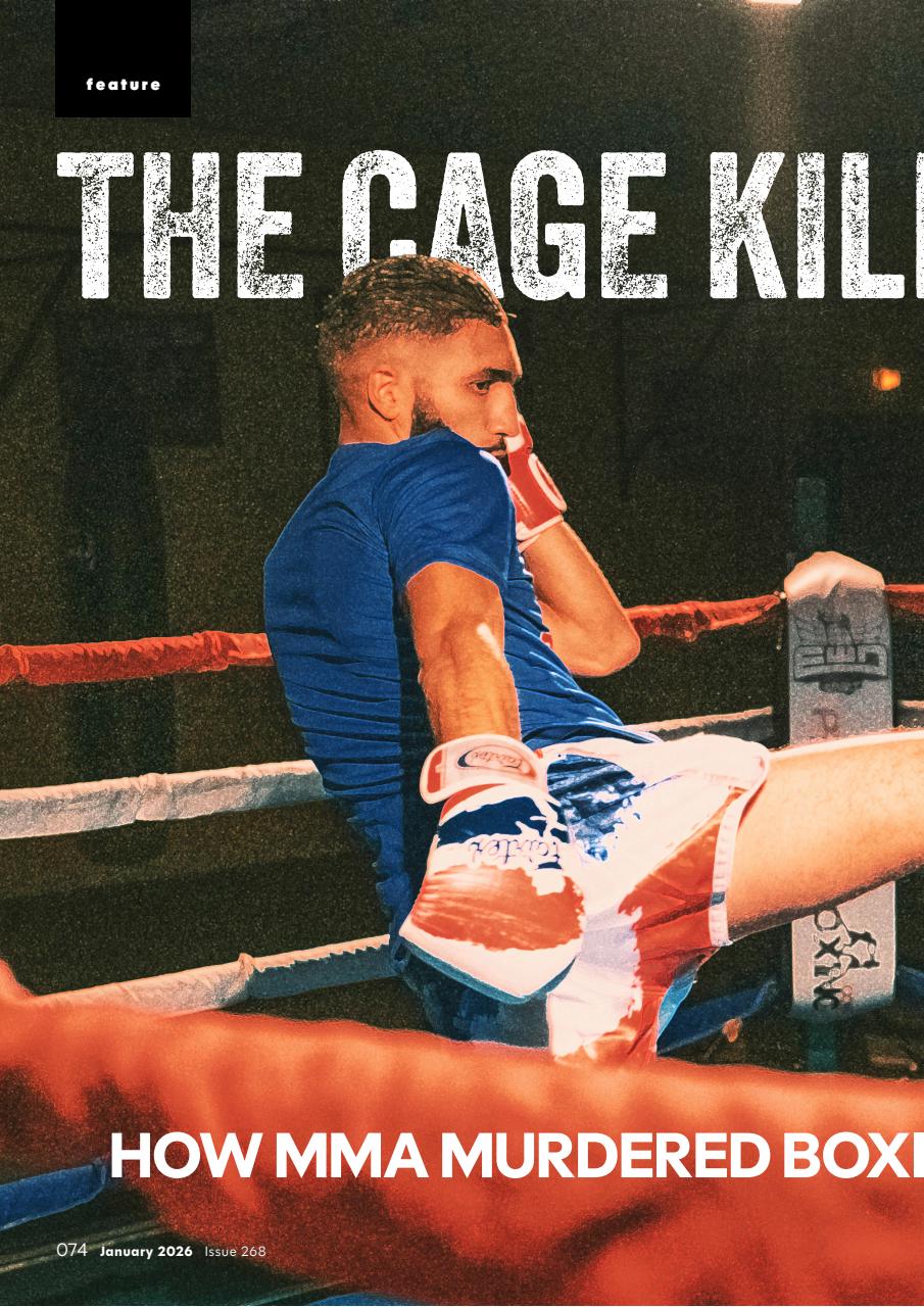 Loaded Preview Pages