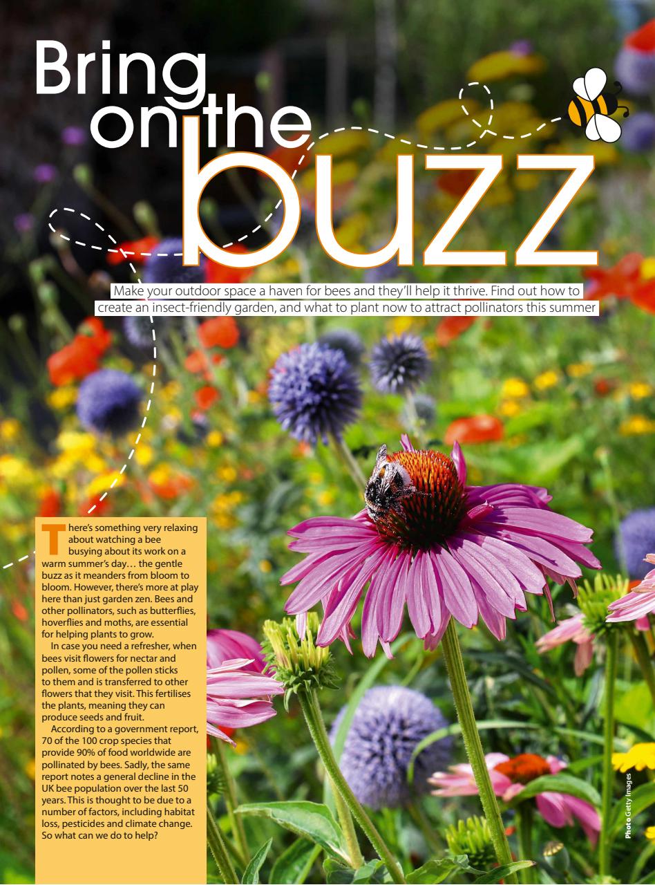 Homestyle Preview Pages