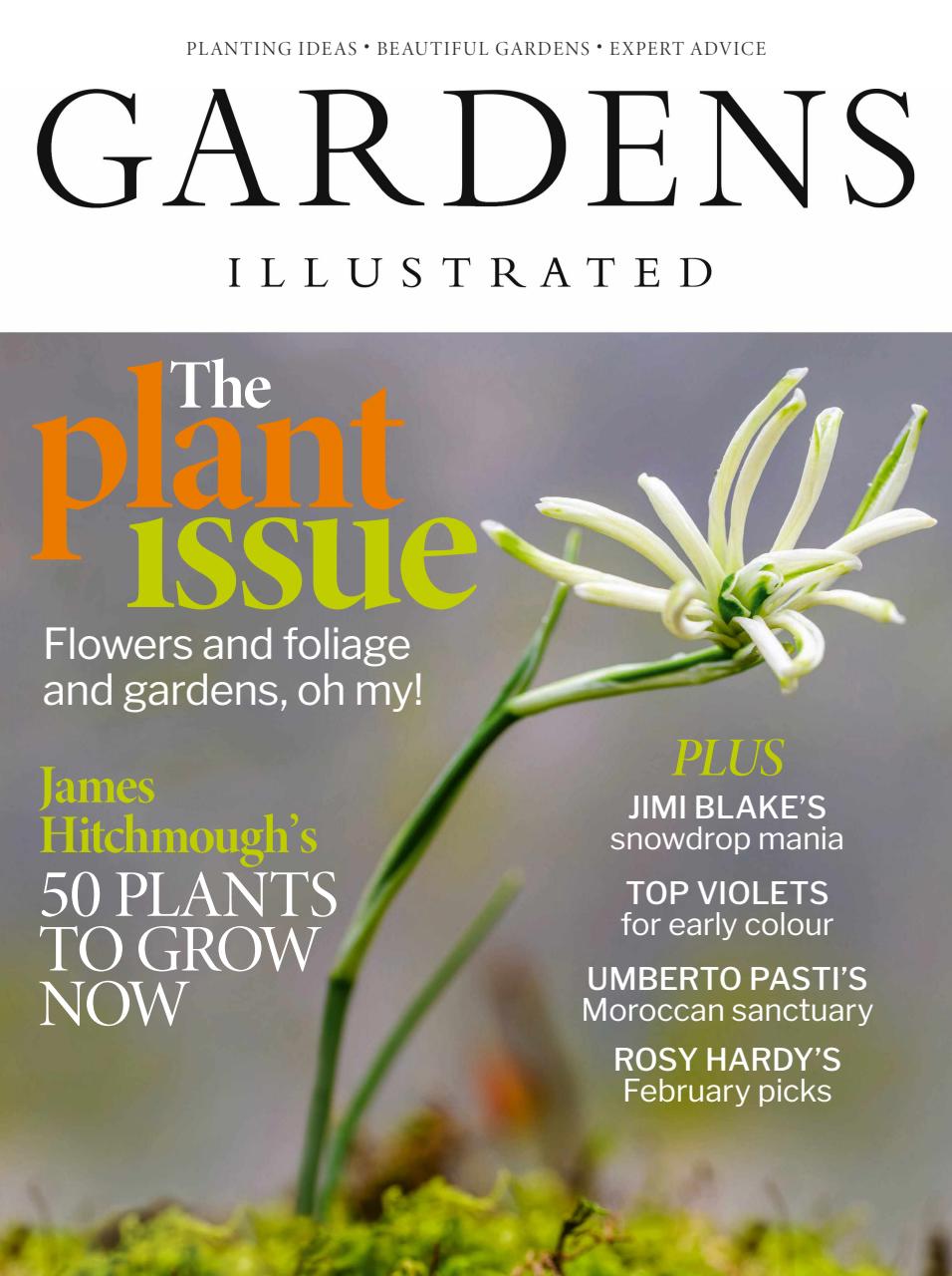 Gardens Illustrated Preview Pages