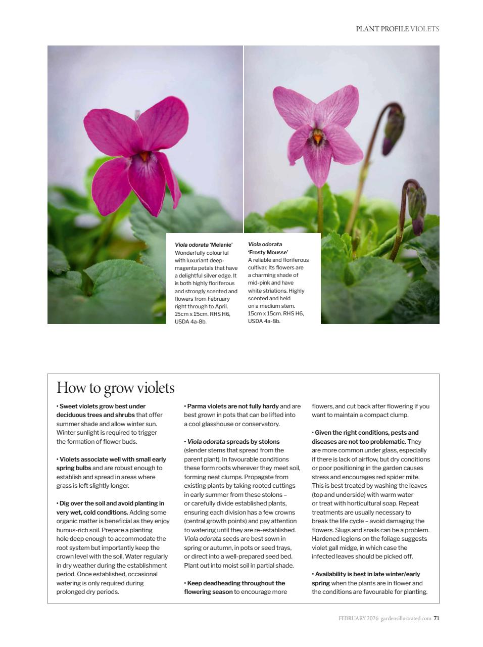 Gardens Illustrated Preview Pages