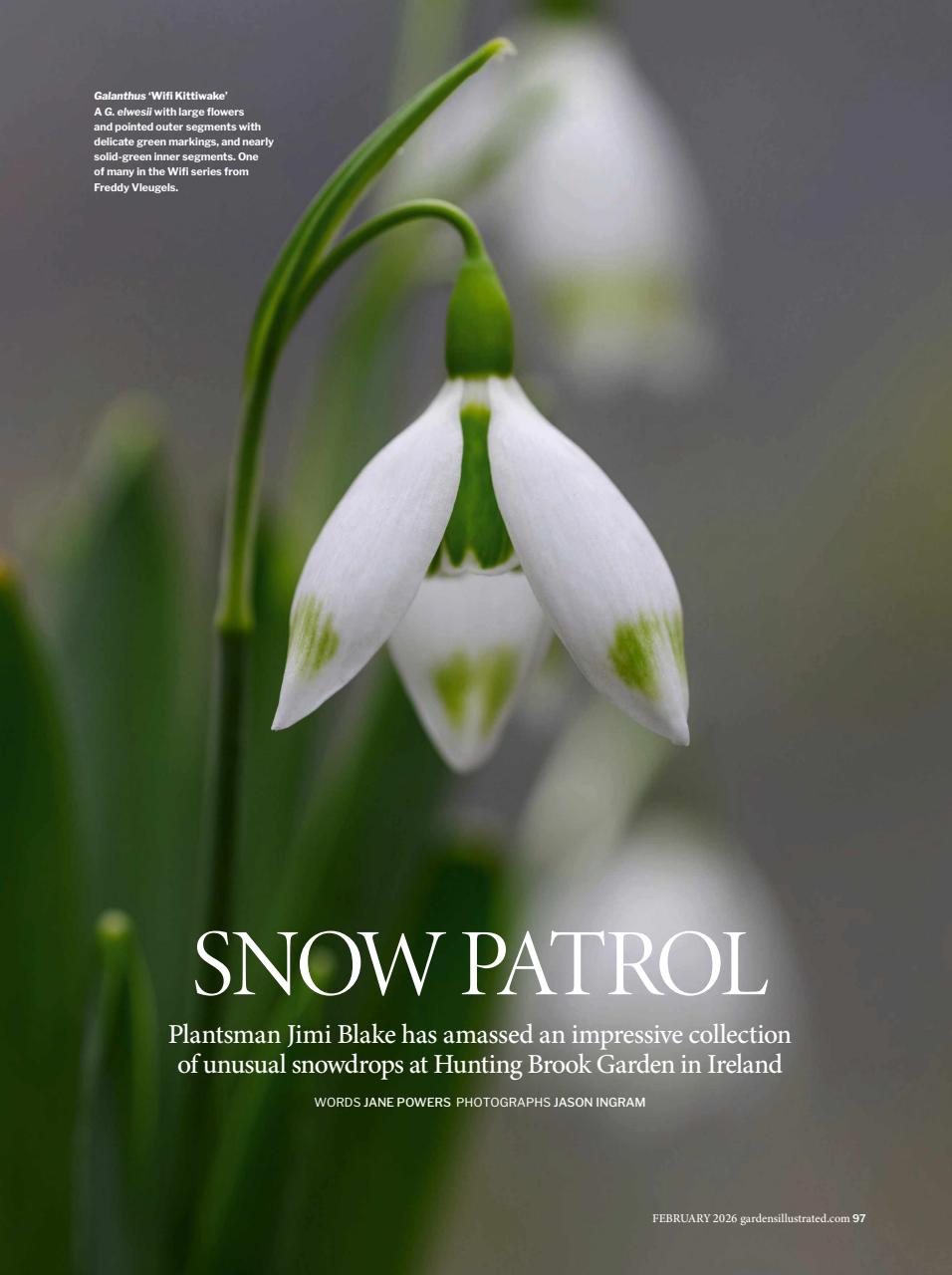 Gardens Illustrated Preview Pages