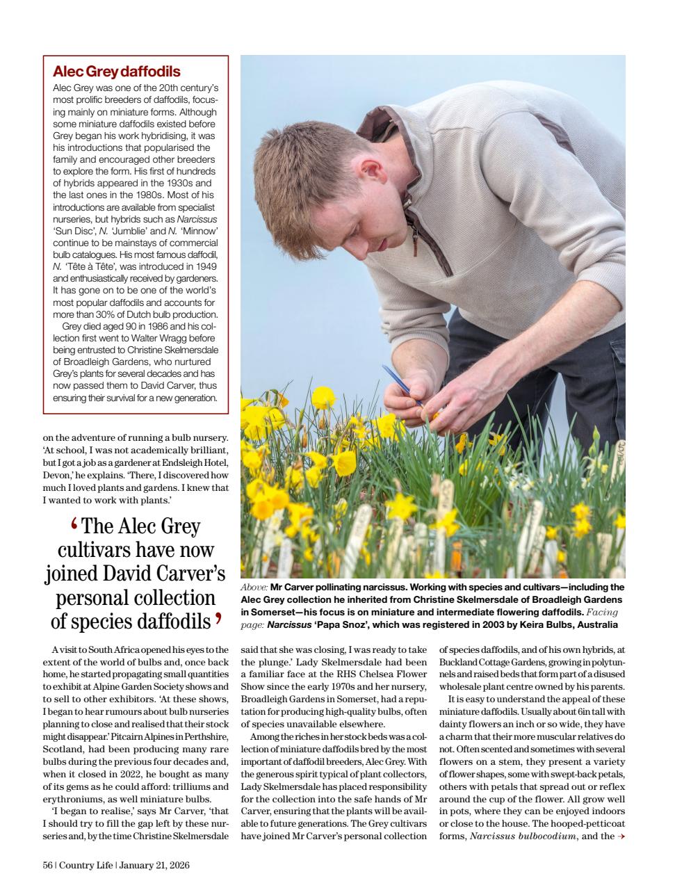 Country Life Preview Pages