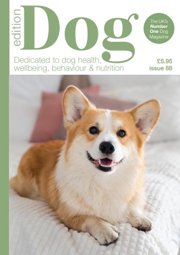 Edition Dog issue 