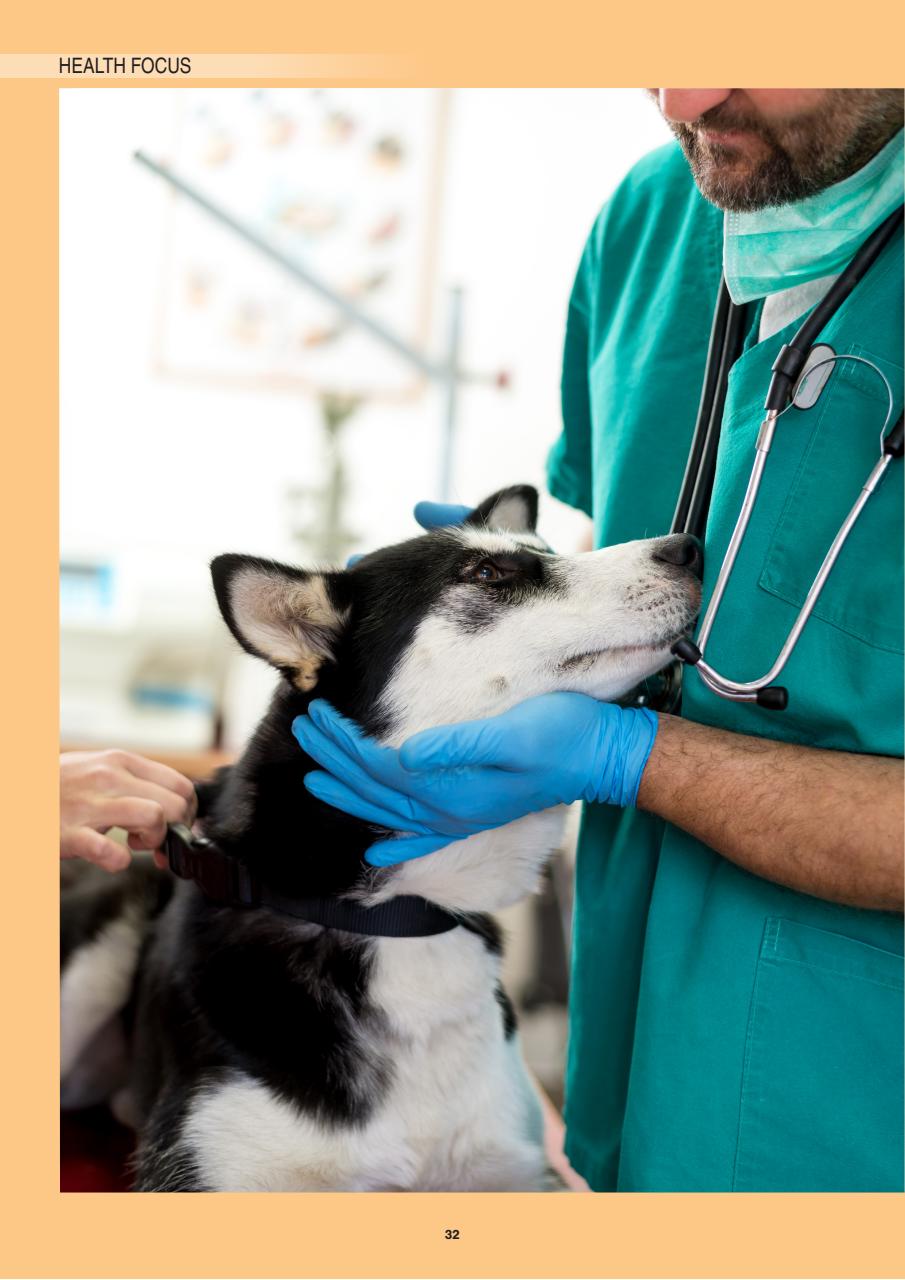 Edition Dog Preview Pages