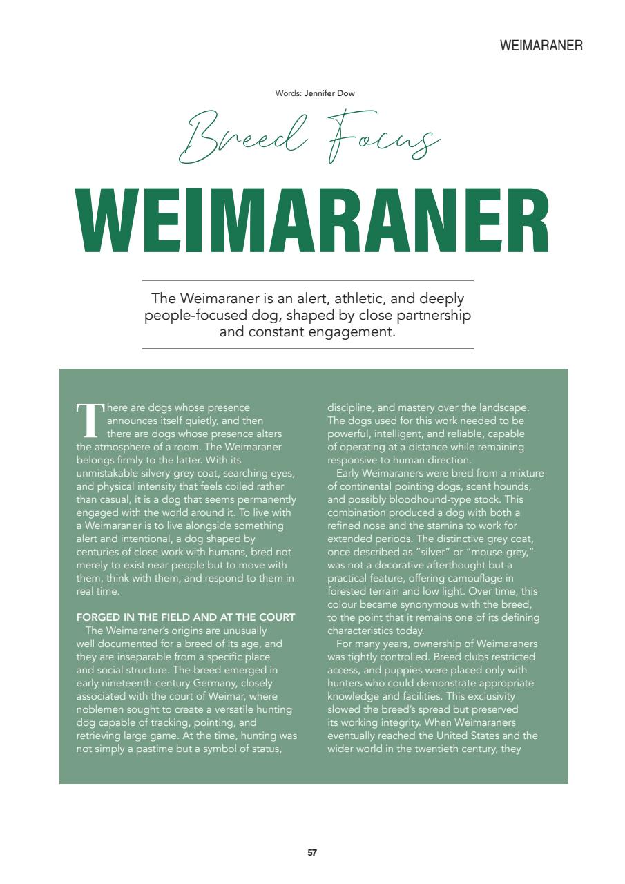 Edition Dog Preview Pages