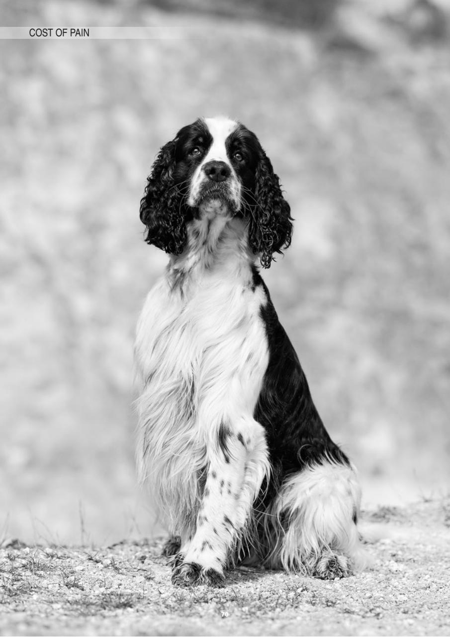 Edition Dog Preview Pages