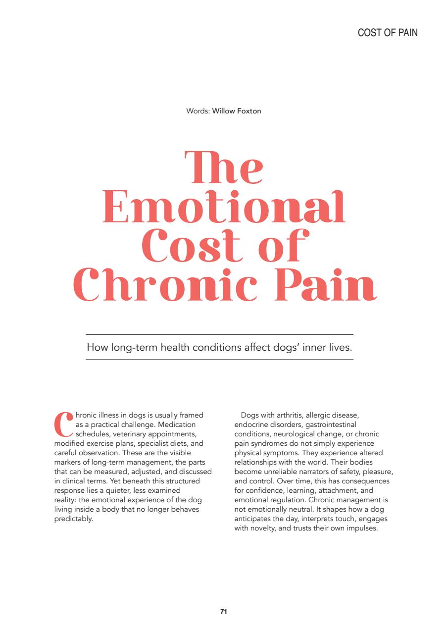 Edition Dog Preview Pages