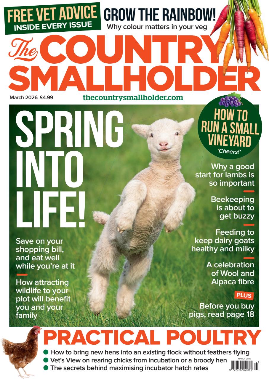 The Country Smallholder Preview Pages