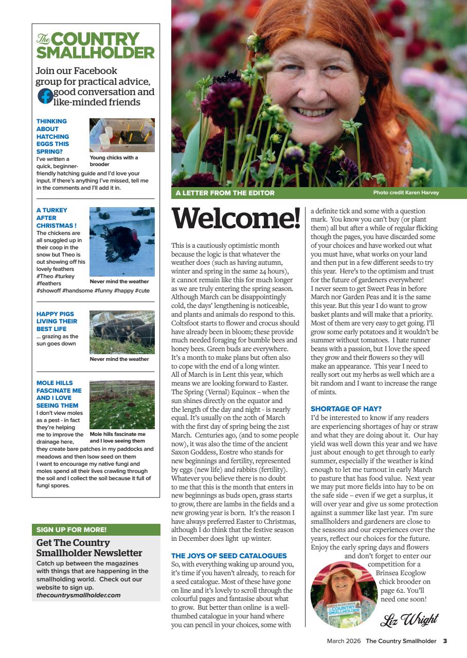 The Country Smallholder Preview Pages