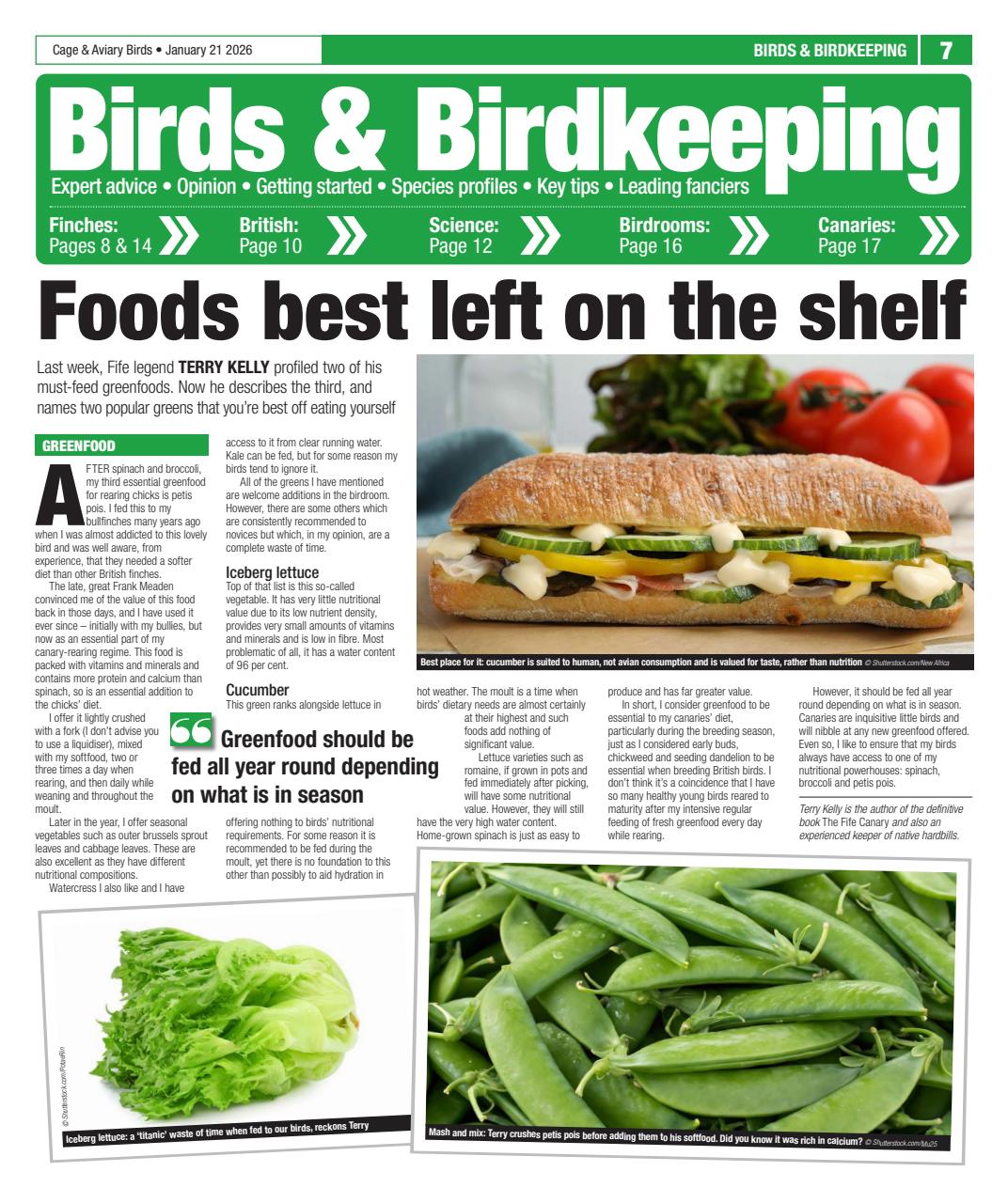 Cage & Aviary Birds Preview Pages