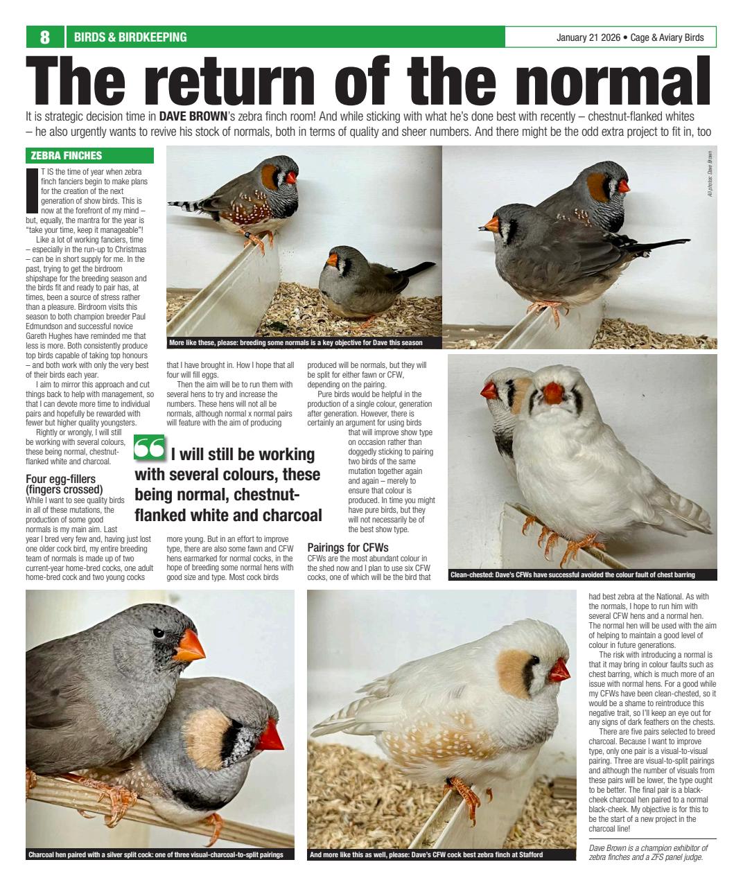 Cage & Aviary Birds Preview Pages