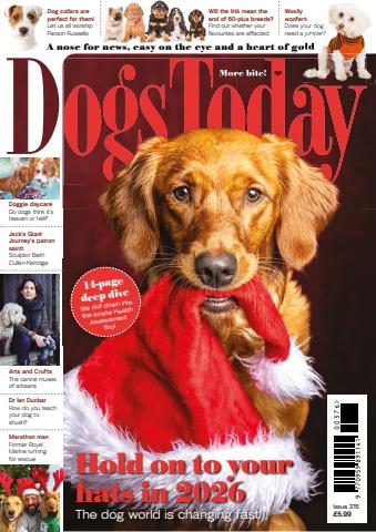 Dogs Today Magazine issue Issue 376