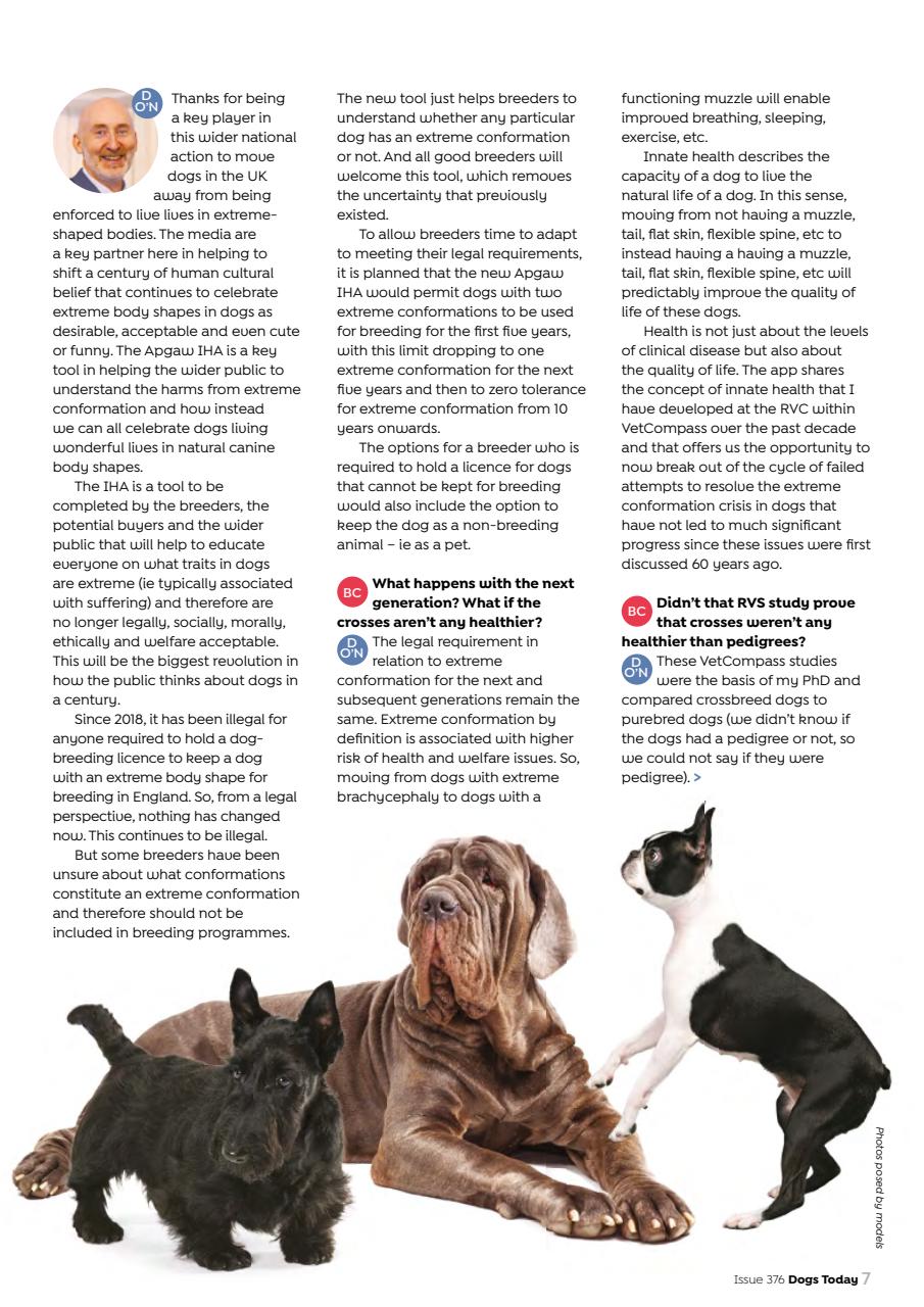 Dogs Today Magazine Preview Pages