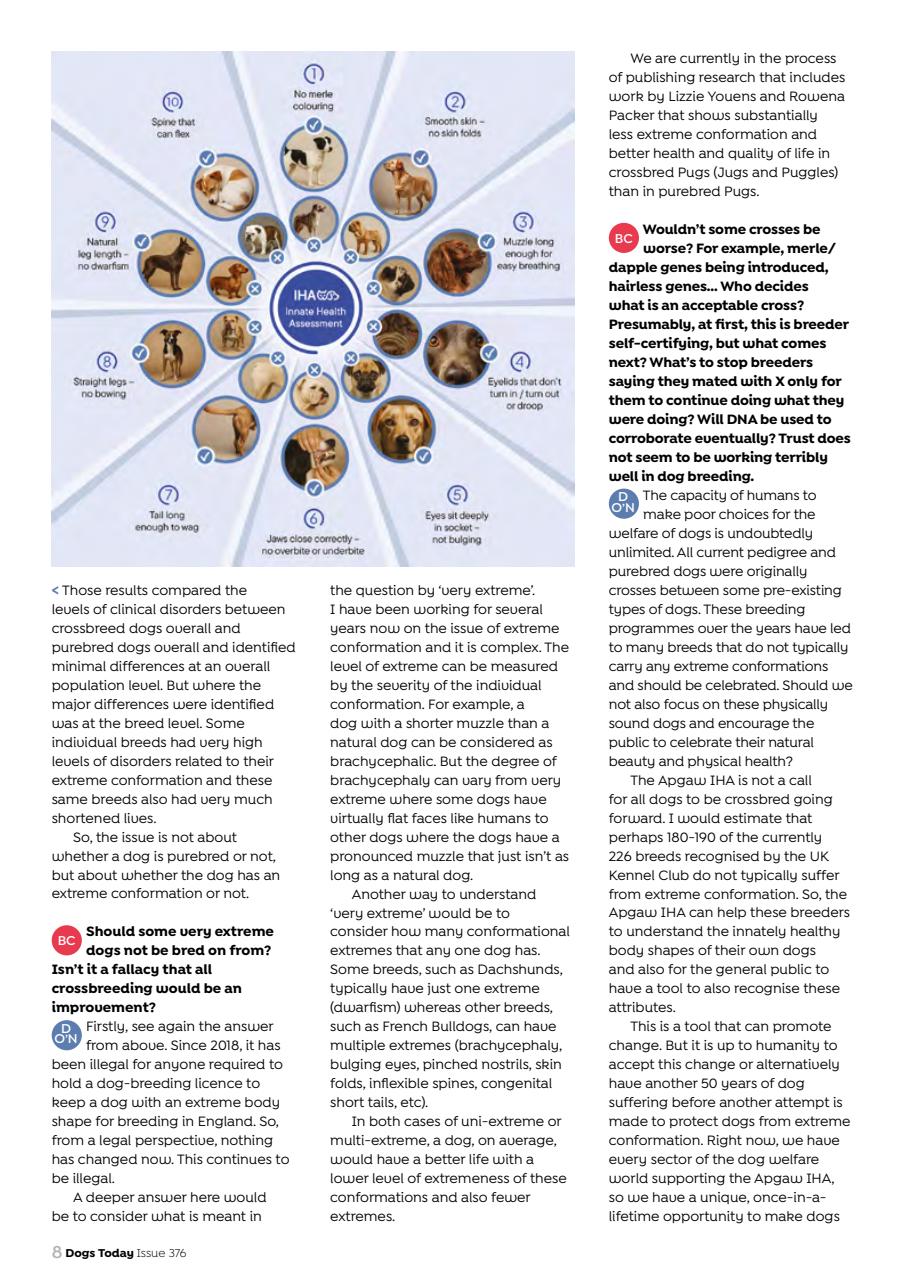 Dogs Today Magazine Preview Pages