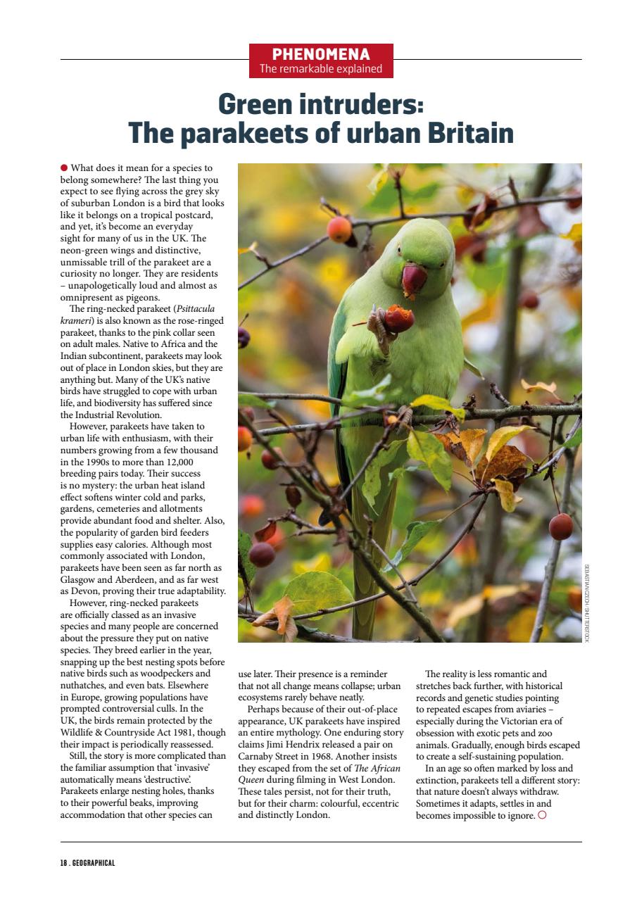 Geographical Preview Pages