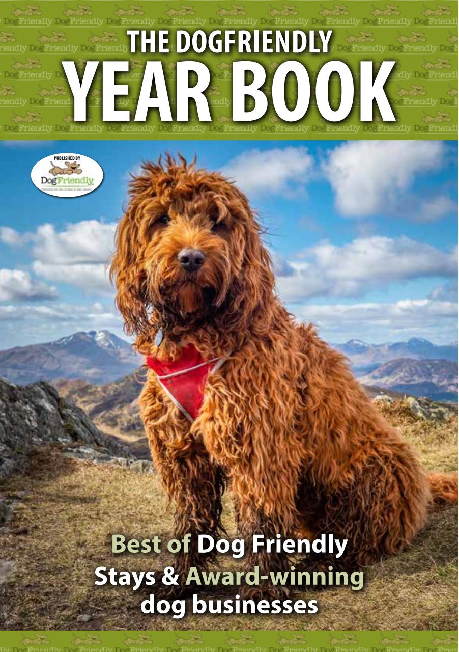 Dog Friendly Preview Pages