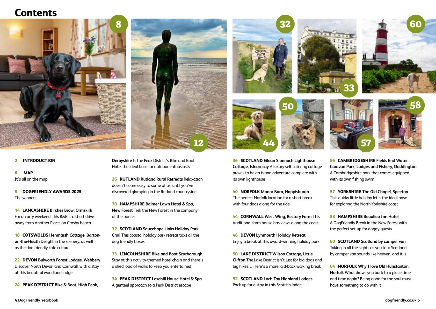 Dog Friendly Preview Pages