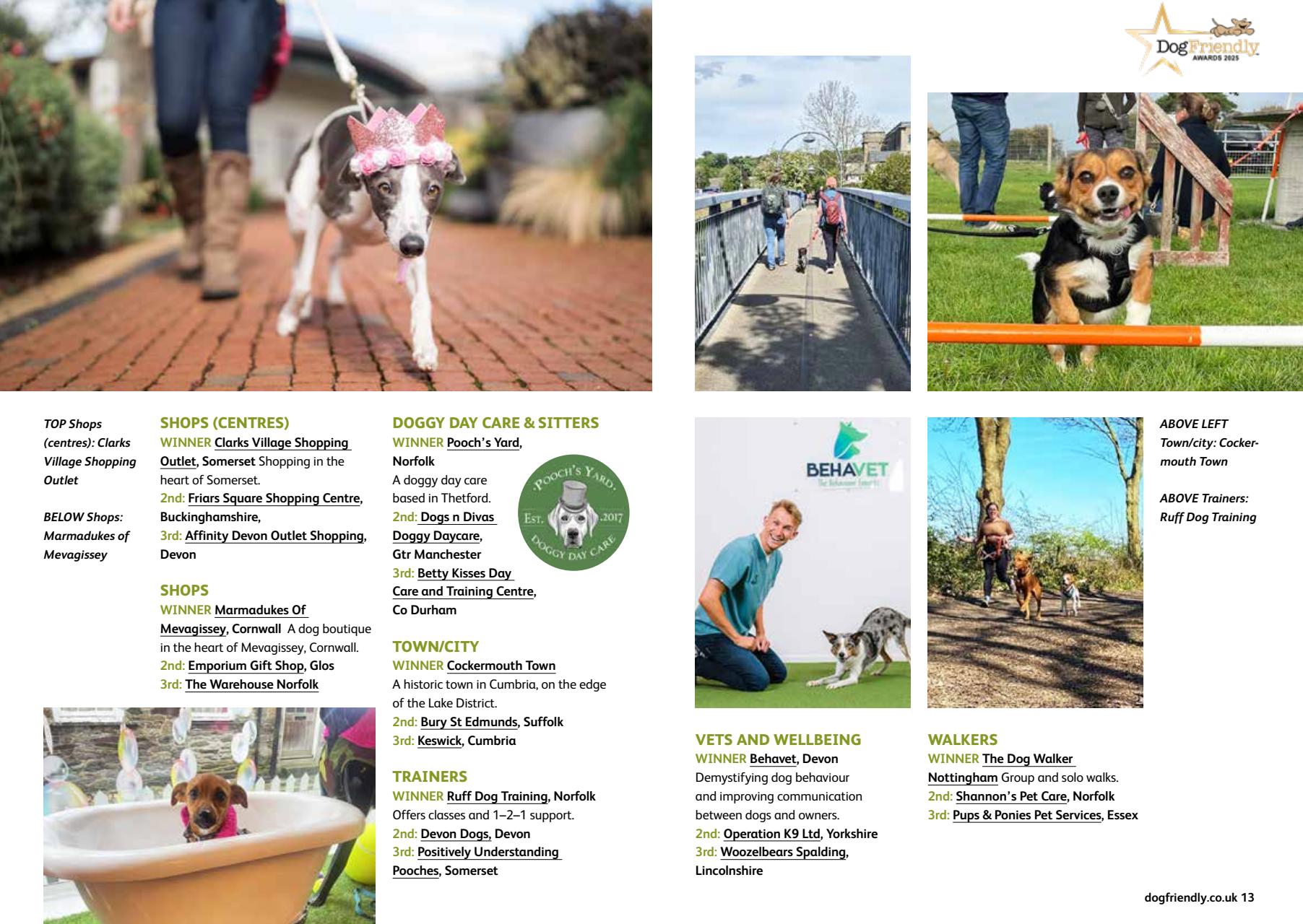 Dog Friendly Preview Pages