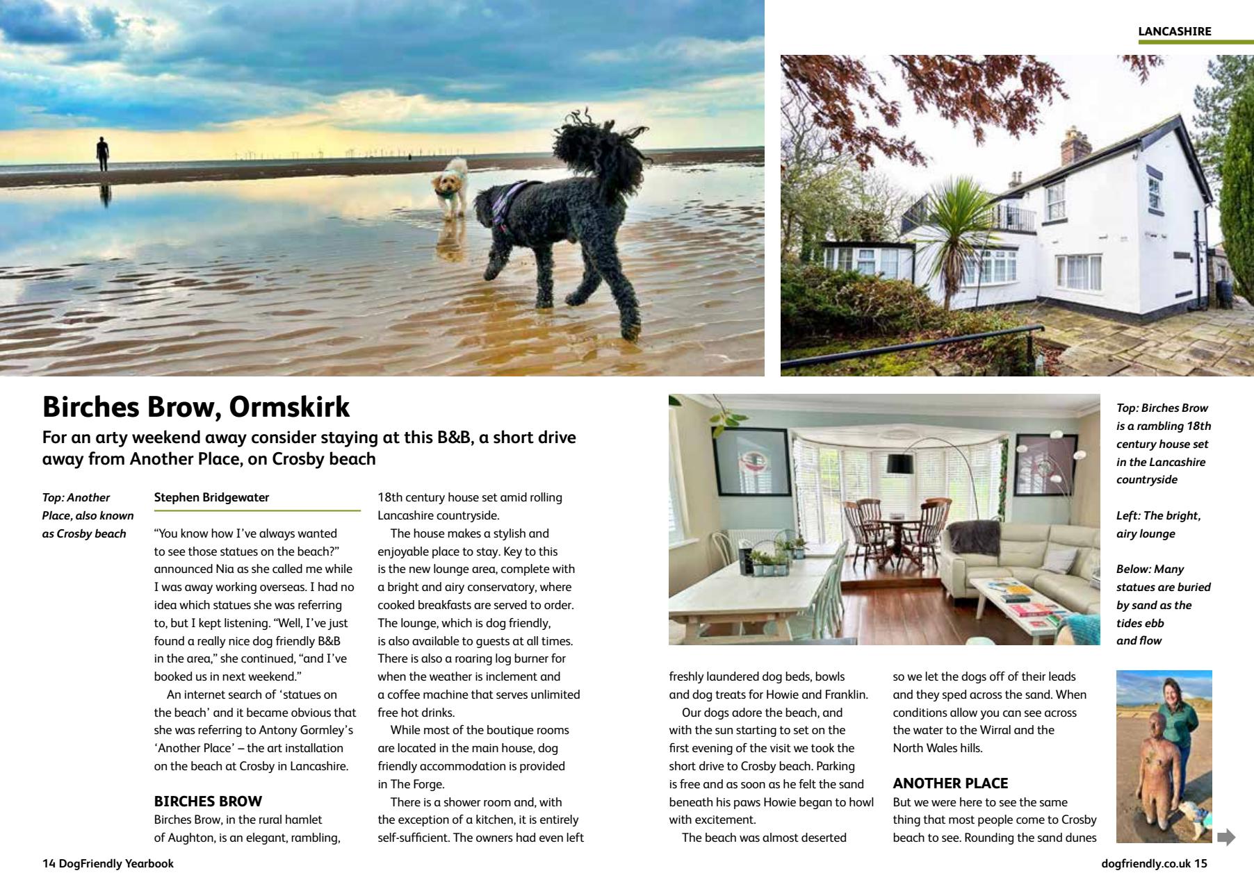 Dog Friendly Preview Pages