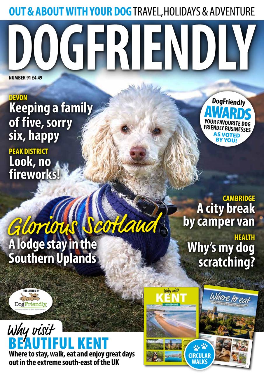 Dog Friendly Preview Pages