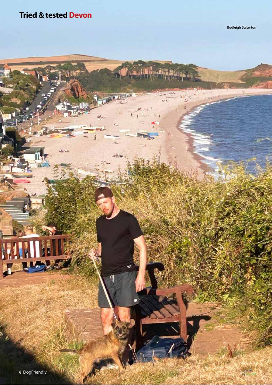 Dog Friendly Preview Pages