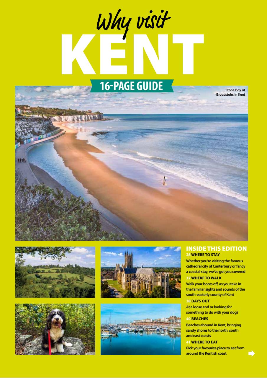 Dog Friendly Preview Pages