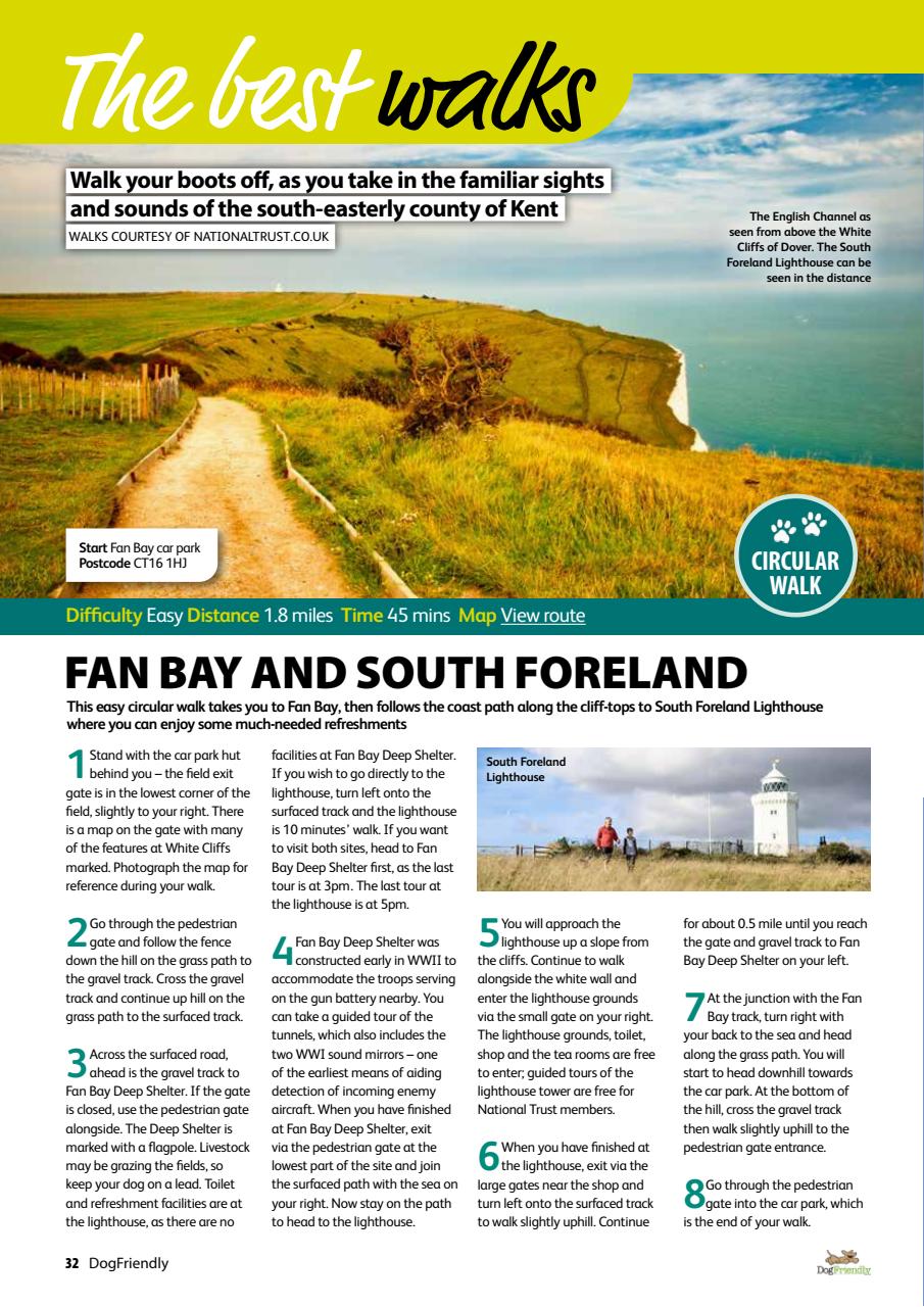 Dog Friendly Preview Pages